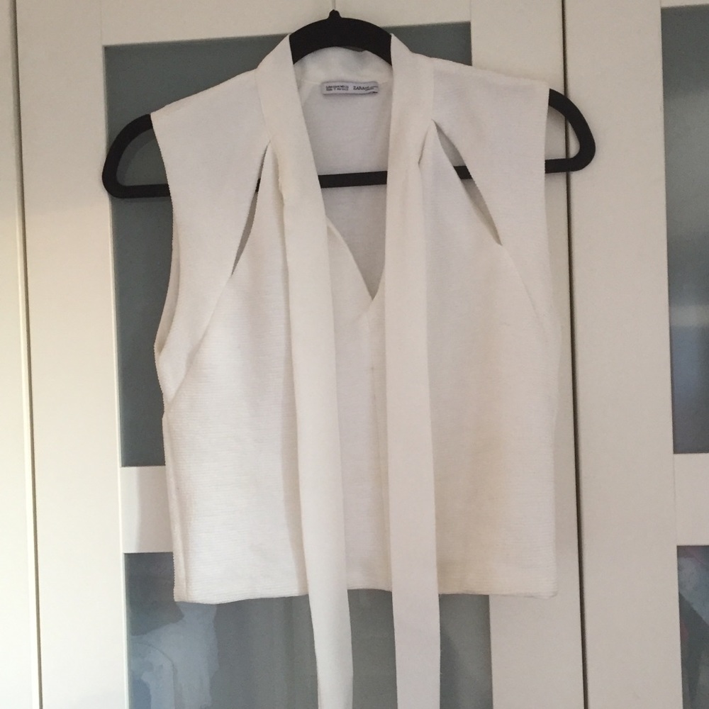 Zara crop top
